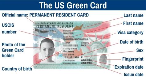 The Green Card explained .